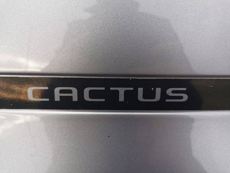 CITROEN C4 Cactus d’occasion à vendre à CARCASSONNE chez AUTO MEDITERRANÉE (Photo 19)